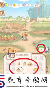 慢豚豚的生活