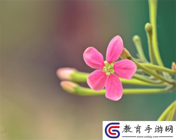 yingdan小鎮(zhèn)公交車尺寸