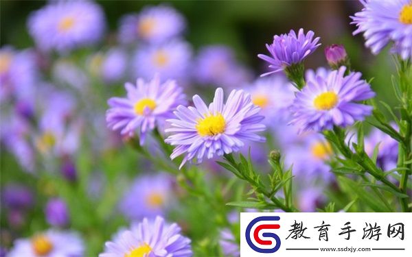 去叔叔家玩日記450