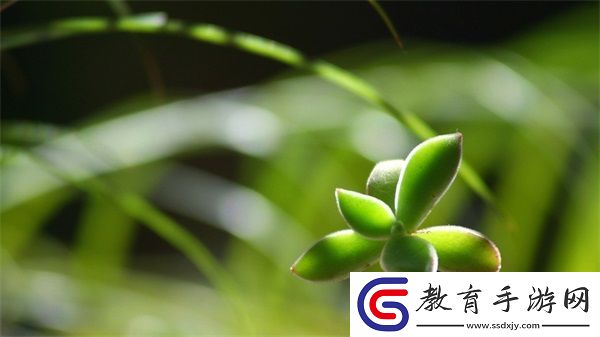 老中醫用嘴排陰毒