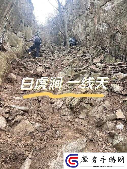 白虎一線天的神秘奇景與獨特魅力