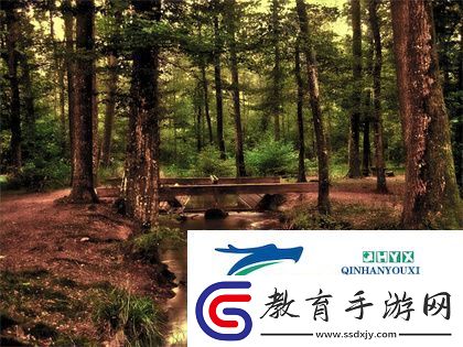 降央卓瑪B多大
